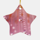 Sunset in Crystal Ornament (Achterkant)