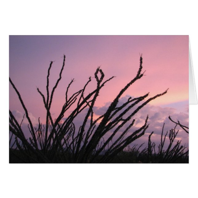 Sunset in lavenders (Voorkant Horizontaal)