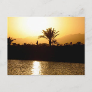 Sunset in Sharm el Sheikh, Egypte Briefkaart