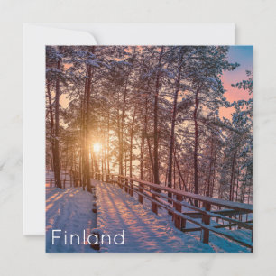 Sunset in snowy-dennenbos met zonnestraal