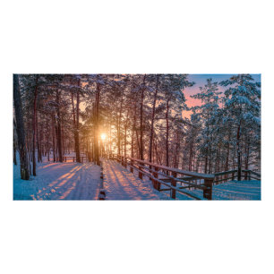 Sunset in snowy-dennenbos met zonnestraal foto afdruk