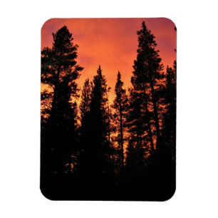 Sunset in Tuolumne Meadows, Yosemite, CA Magneet