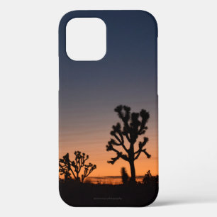 Sunset Joshua Trees iPhone 12 Hoesje