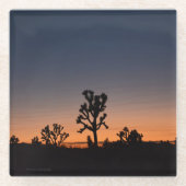 Sunset Joshua Trees Glazen Onderzetter (Voorkant)