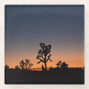 Sunset Joshua Trees Glazen Onderzetter