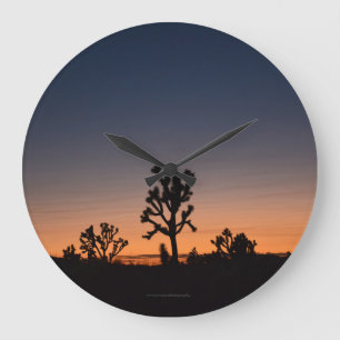 Sunset Joshua Trees Grote Klok