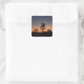 Sunset Joshua Trees Square Sticker (Tas)