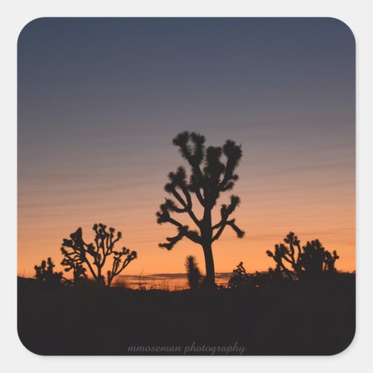Sunset Joshua Trees Square Sticker (Voorkant)