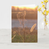 Sunset Kaart (Gele Bloem)