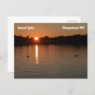 Sunset Lake Loons op Sunset Briefkaart