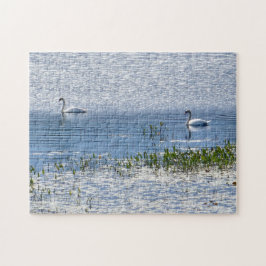 Sunset Lake Swan Puzzle Legpuzzel