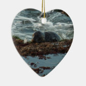 Sunset Lit Harbour Seal I in San Diego Keramisch Ornament (Rechts)