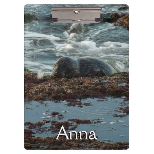 Sunset Lit Harbour Seal I in San Diego Klembord (Voorkant)