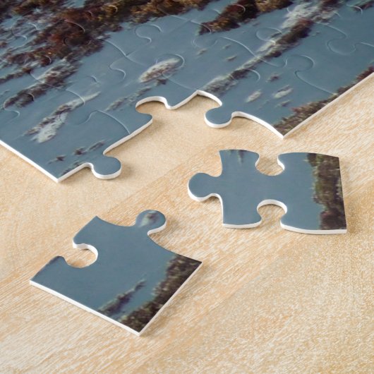 Sunset Lit Harbour Seal I in San Diego Legpuzzel (Zijkant)