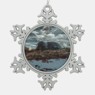 Sunset Lit Harbour Seal I in San Diego Tin Sneeuwvlok Ornament
