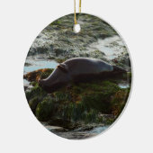 Sunset Lit Harbour Seal II in San Diego Keramisch Ornament (Links)