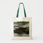 Sunset Lit Harbour Seal II in San Diego Tote Bag (Voorkant)