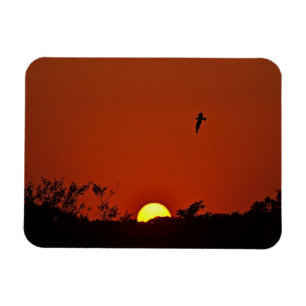 Sunset Magnet Magneet