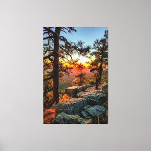 Sunset Mogollon Rim Arizona Pine Trees 40x60 Canvas Afdruk
