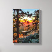 Sunset Mogollon Rim Arizona Pine Trees 8x10 Canvas Afdruk (Voorkant)