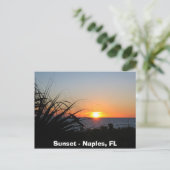 Sunset - Napels, FL Briefkaart (Staand voorkant)