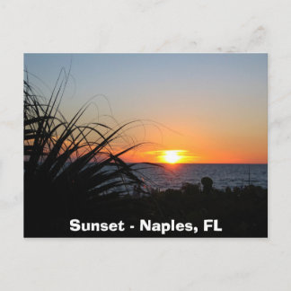 Sunset - Napels, FL Briefkaart
