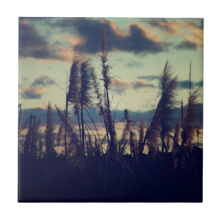 Sunset Natuur Tile Tegeltje