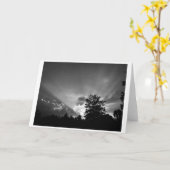 Sunset/Noir, kaart (Gele Bloem)