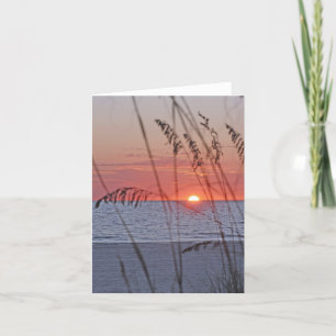 Sunset Note Card Treasure Island Kaart