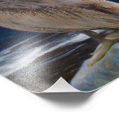 SUNSET OGEN VAN EEN PELIKAN FOTO AFDRUK (Hoek)