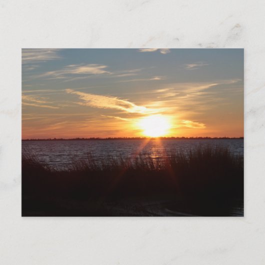 Sunset on Chincoteague Island. Briefkaart (Voorkant)