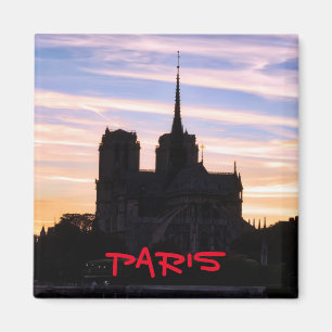 Sunset on Notre Dame de Paris - Parijs, Frankrijk Magneet