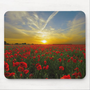 Sunset on Poppyfield - HAMbyWhiteGlove Muismat