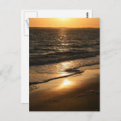 Sunset on the Beach Briefkaart (Voorkant / Achterkant)
