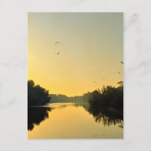 Sunset on the Negril River Briefkaart