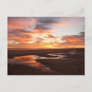 Sunset on the Zee of Cortez Briefkaart