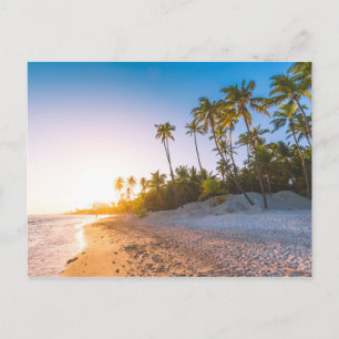 Sunset on Tropical Beach Dominicaanse Republiek Briefkaart
