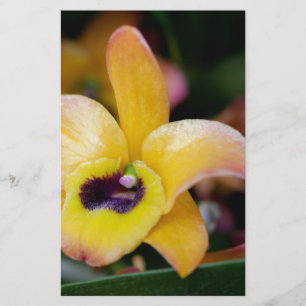 Sunset Orchid Briefpapier