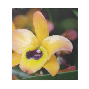 Sunset Orchid Notitieblok