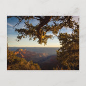 Sunset over Grand Canyon Briefkaart (Voorkant)