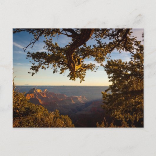 Sunset over Grand Canyon Briefkaart (Voorkant)