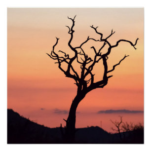 Sunset over Madikwe Perfect Poster