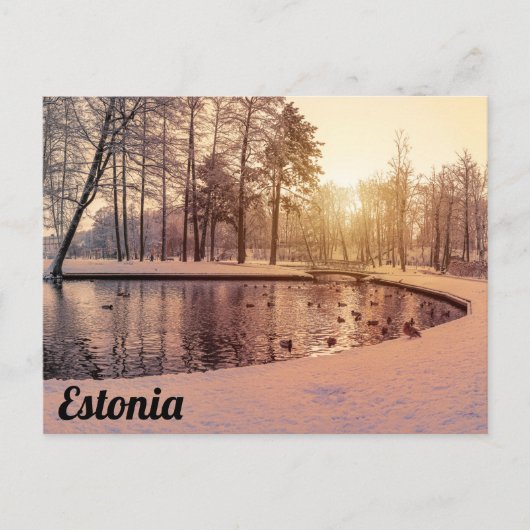 Sunset over park met een klein vorstmeer briefkaart (Voorkant)