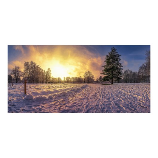Sunset over sneeuwwinterpark foto afdruk (Voorkant)