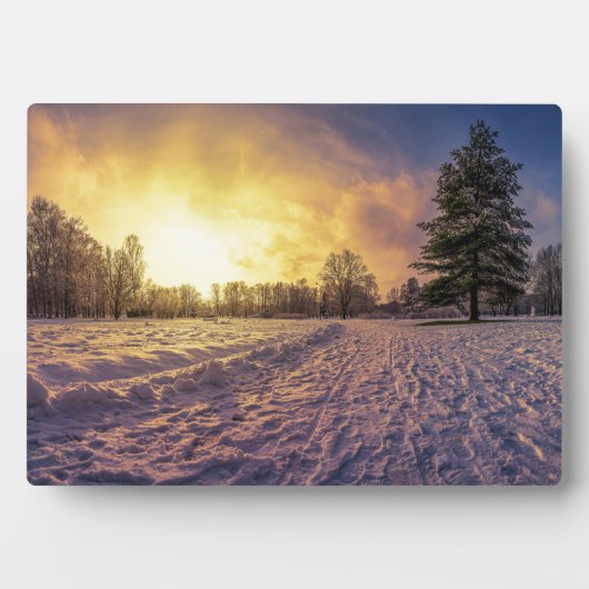 Sunset over sneeuwwinterpark fotoplaat (voorkant)