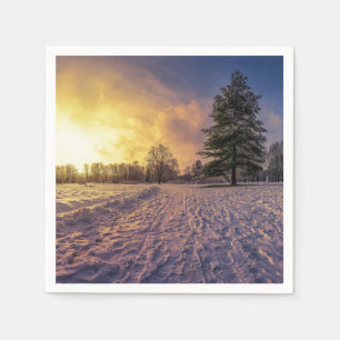 Sunset over sneeuwwinterpark servet