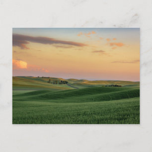 Sunset over Wheat Fields Staat Washington Briefkaart