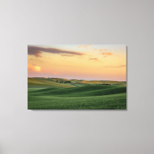 Sunset over Wheat Fields | Staat Washington Canvas Afdruk (Voorkant)