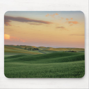 Sunset over Wheat Fields   Staat Washington Muismat