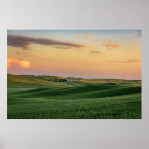 Sunset over Wheat Fields Staat Washington Poster